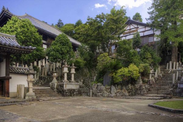 Flaherty, Dennis 아티스트의 Japan, Nara, Nara Park View of Buddhist temple작품입니다.